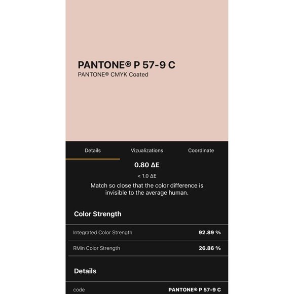 Bella Bridesmaids Light Pink Strapless Lined Zip Up Maxi Dress Size 12 R - Picture 8 of 8